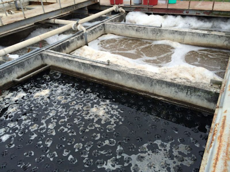 Bùn Cặn Trong Nước Thải