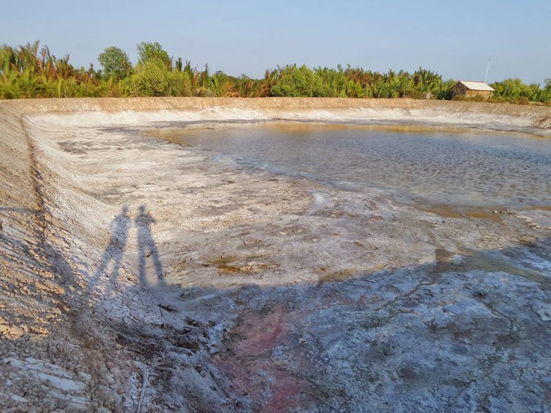 Bùn Đáy Ao Nuôi Cá