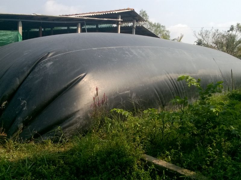 Hệ Thống Hầm Biogas