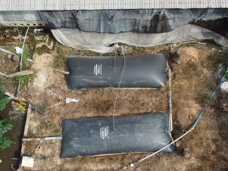 Cách Xử Lý Chất Thải Chăn Nuôi Hiệu Quả