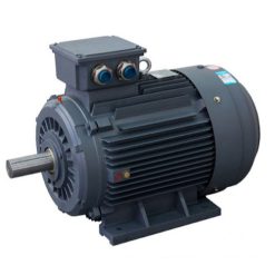 Mô Tơ Điện 3 Pha 3 kW Tốc Nhanh 2900 Vòng/phút