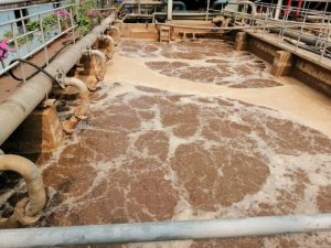 Cách Xử Lý Nước Bùn